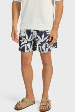 Online Academy Brand Hamilton Boardy