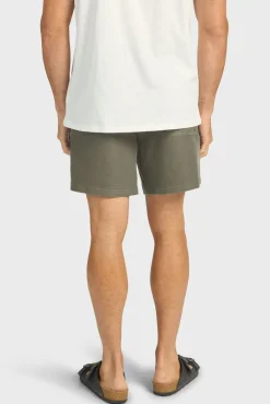 Online Academy Brand Teamster Boardy